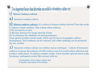 1) Mature Embryo culture
2) Immature embryo culture
1) Mature embryo culture: It is culture of mature embryo derived Tom ripe seeds.
It requires simple medium. This is done when embryos
i) Do not survive in vitro
ii) Become dormant for longer periods of time
iii) To eliminate the inhibition of seed germination
Some species produce sterile seeds, which may he due to incomplete embryo
development. Such embryos can be cultured, and viable seedlings can be produced.
Eg: Iris, orchids
2) Immature embryo culture (or) embryo rescue technique: - Culture of immature
embryos to rescue the embryos of wild crosses is use d io avoid embryo abortion and
produce viable planis. II requires complex media, which includes special amino acids,
hormones, endosperm extract like coconut milk eic.
i) Composition of the culture medium and
ii) Excision and culture of the embryo
 