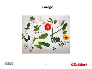 Forage




 6
 