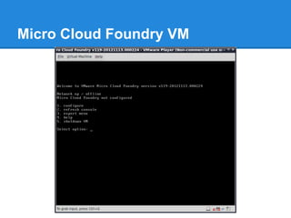 Micro Cloud Foundry VM
 