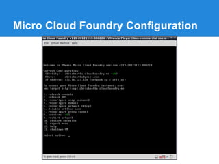 Micro Cloud Foundry Configuration
 