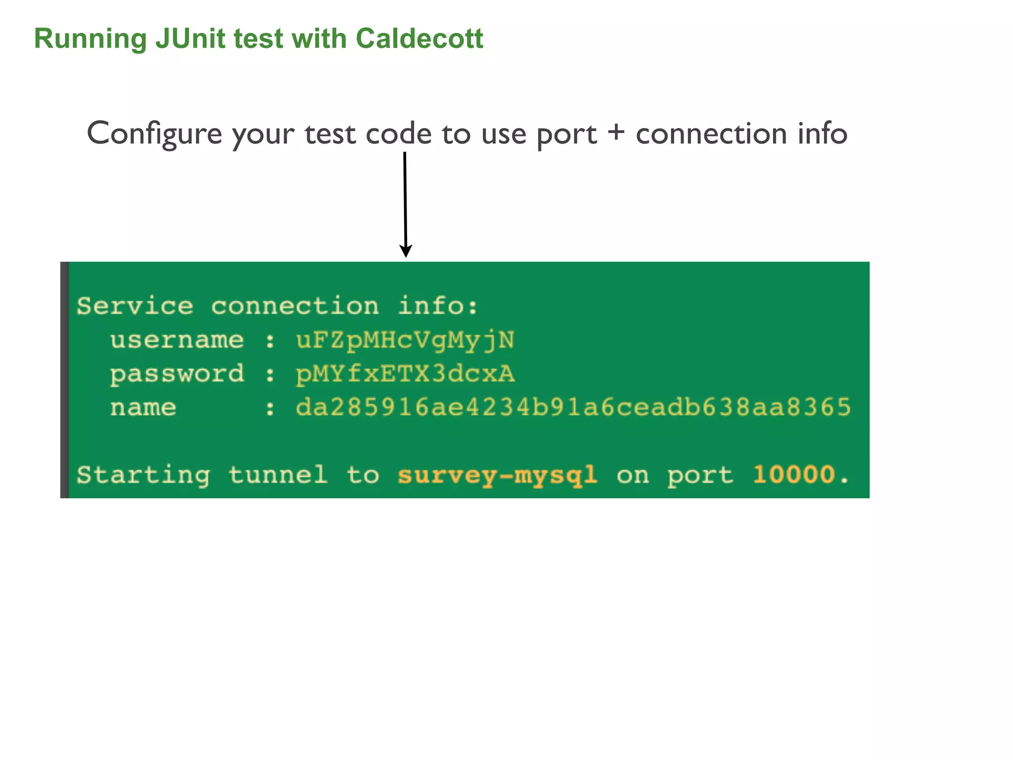 Running JUnit test with Caldecott


   Conﬁgure your test code to use port + connection info




                                                           91
 