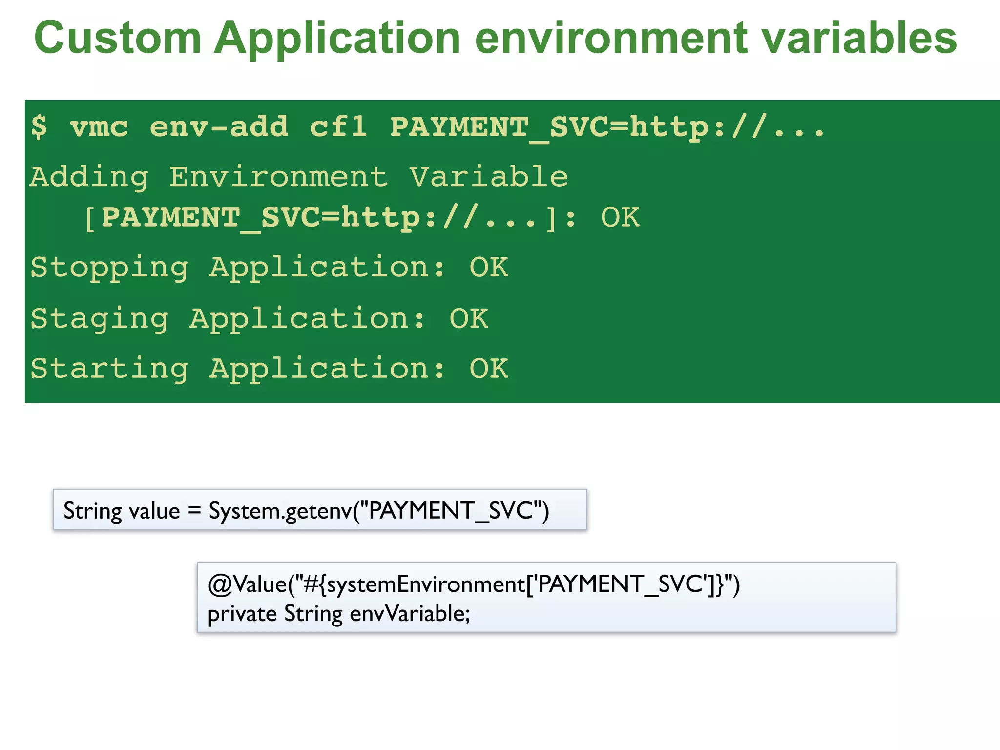 Custom Application environment variables
$ vmc env-add cf1 PAYMENT_SVC=http://...
Adding Environment Variable
   [PAYMENT_SVC=http://...]: OK
Stopping Application: OK
Staging Application: OK
Starting Application: OK



 String value = System.getenv("PAYMENT_SVC")

             @Value("#{systemEnvironment['PAYMENT_SVC']}")
             private String envVariable;
 