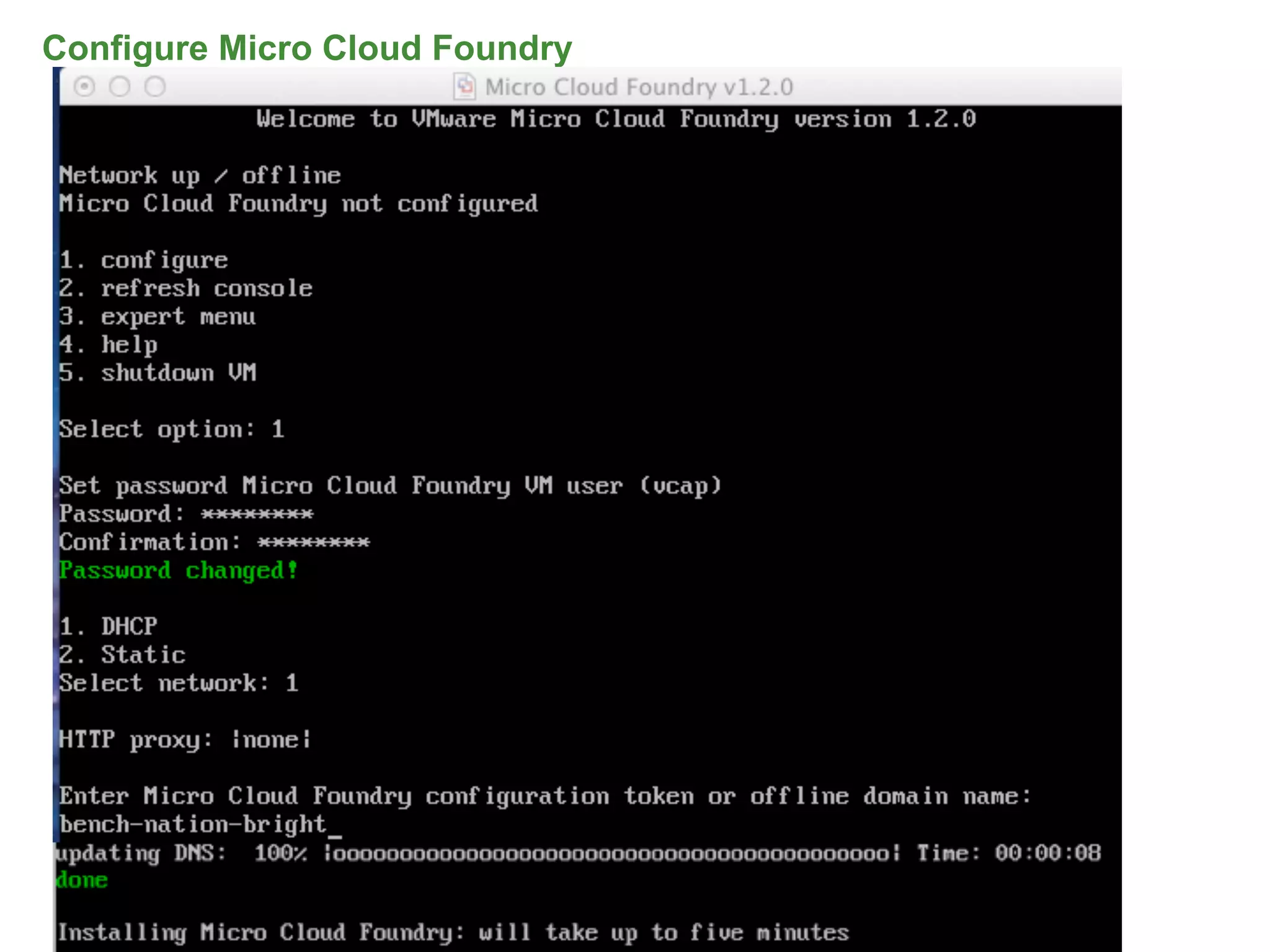 Configure Micro Cloud Foundry




                                65
 