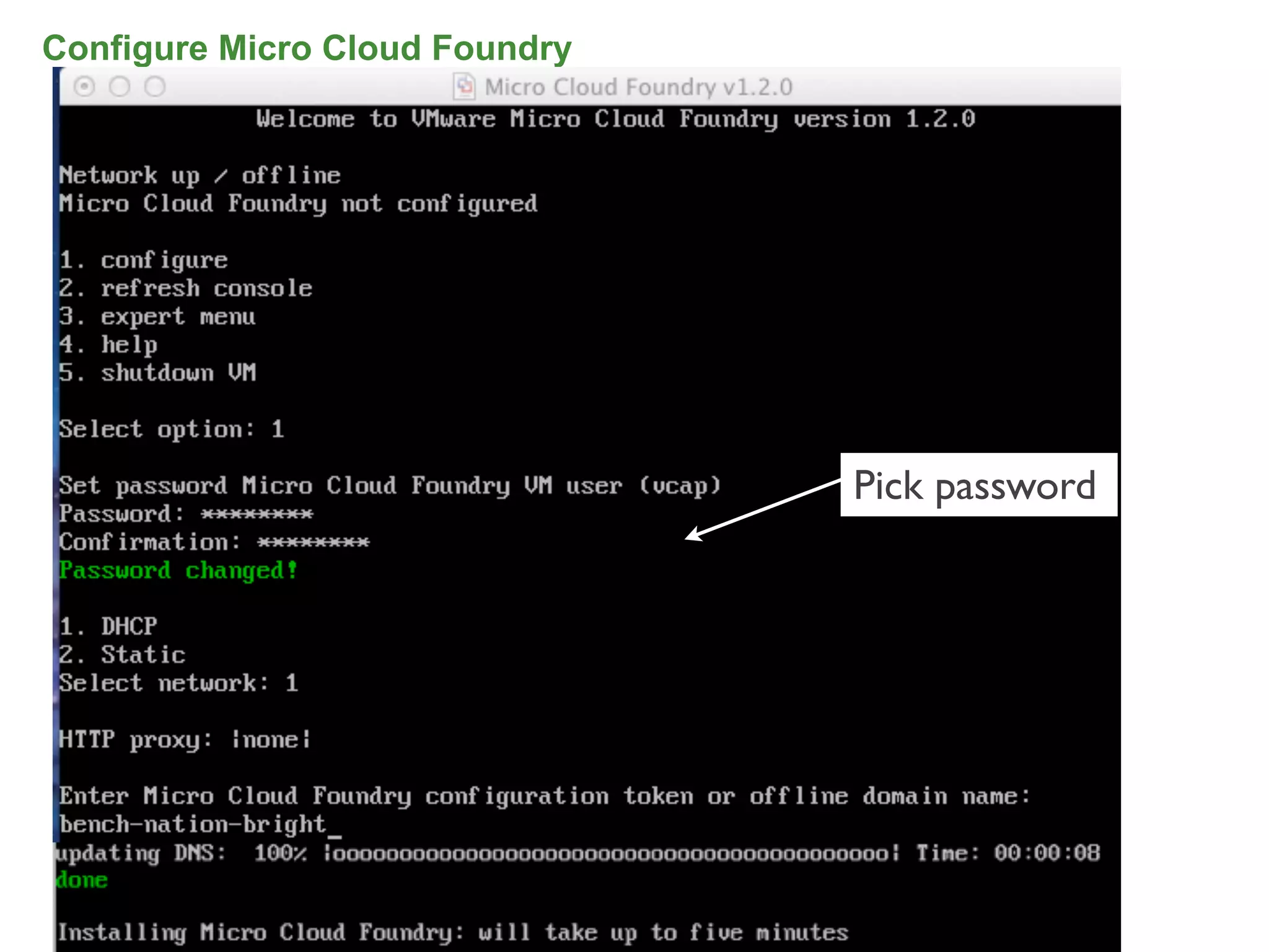 Configure Micro Cloud Foundry




                                Pick password




                                                65
 