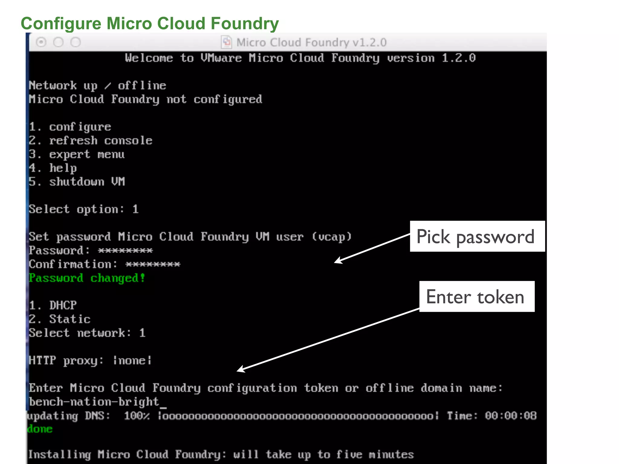 Configure Micro Cloud Foundry




                                Pick password

                                 Enter token




                                                65
 
