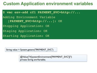 Custom Application environment variables
$ vmc env-add cf1 PAYMENT_SVC=http://...
Adding Environment Variable
   [PAYMENT_SVC=http://...]: OK
Stopping Application: OK
Staging Application: OK
Starting Application: OK



 String value = System.getenv("PAYMENT_SVC")

             @Value("#{systemEnvironment['PAYMENT_SVC']}")
             private String envVariable;
 