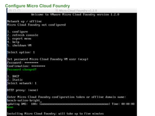 Configure Micro Cloud Foundry




                                65
 
