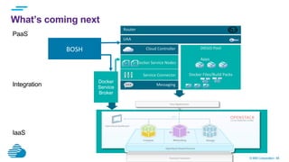 © IBM Corporation 48
What’s coming next
Cloud
DIEGO	
  Pool	
  	
  	
  
Apps	
  
Docker	
  Files/Build	
  Packs	
  
Cloud	
  Controller	
  
Service	
  Connector	
  
Messaging	
  
UAA	
  
Router	
  
Docker	
  Service	
  Nodes	
  
PaaS
IaaS
Integration
BOSH	
  
Docker
Service
Broker
 