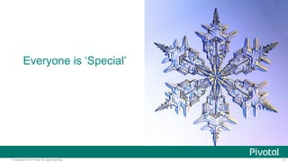 11© Copyright 2014 Pivotal. All rights reserved.
Everyone is ‘Special’
 
