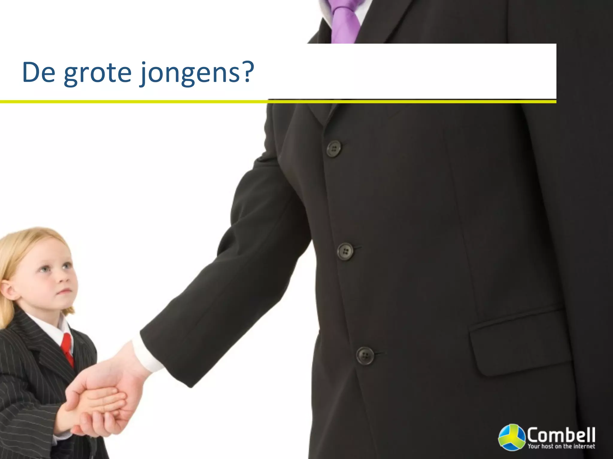 De	
  grote	
  jongens?
 
