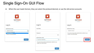 ● When the user loads Horizon, they can select the protocol desired, or use the old service accounts
Single Sign-On GUI Flow
 