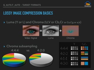 Q_AUTO,F_AUTO - TARGET FORMATS
LOSSY IMAGE COMPRESSION BASICS
▸ Luma (Y or L) and Chroma (U,V or Cb,Cr or Co,Cg or a,b)
▸ Chroma subsampling 
4:4:4 vs 4:2:0
 