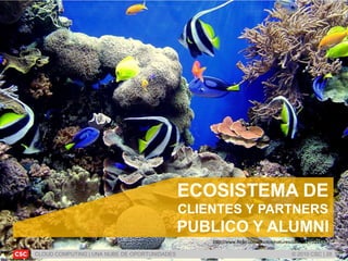 CLOUD COMPUTING | UNA NUBE DE OPORTUNIDADES © 2010 CSC | 28
http://www.flickr.com/photos/naturesdawn/1270216532
ECOSISTEMA DE
CLIENTES Y PARTNERS
PUBLICO Y ALUMNI
 