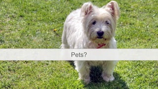 Pets?
 