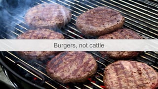 Burgers, not cattle
 
