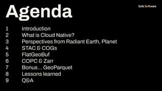 Agenda
1 Introduction
2 What is Cloud Native?
3 Perspectives from Radiant Earth, Planet
4 STAC & COGs
5 FlatGeoBuf
6 COPC ...