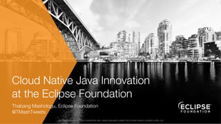 COPYRIGHT (C) 2019, ECLIPSE FOUNDATION, INC. | MADE AVAILABLE UNDER THE ECLIPSE PUBLIC LICENSE 2.0 (EPL-2.0)
Cloud Native Java Innovation
at the Eclipse Foundation
Thabang Mashologu, Eclipse Foundation
@TMashTweets
 