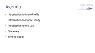 2
Agenda
• Introduction to MicroProfile
• Introduction to Open Liberty
• Introduction to the Lab
• Summary
• Time to code!
 