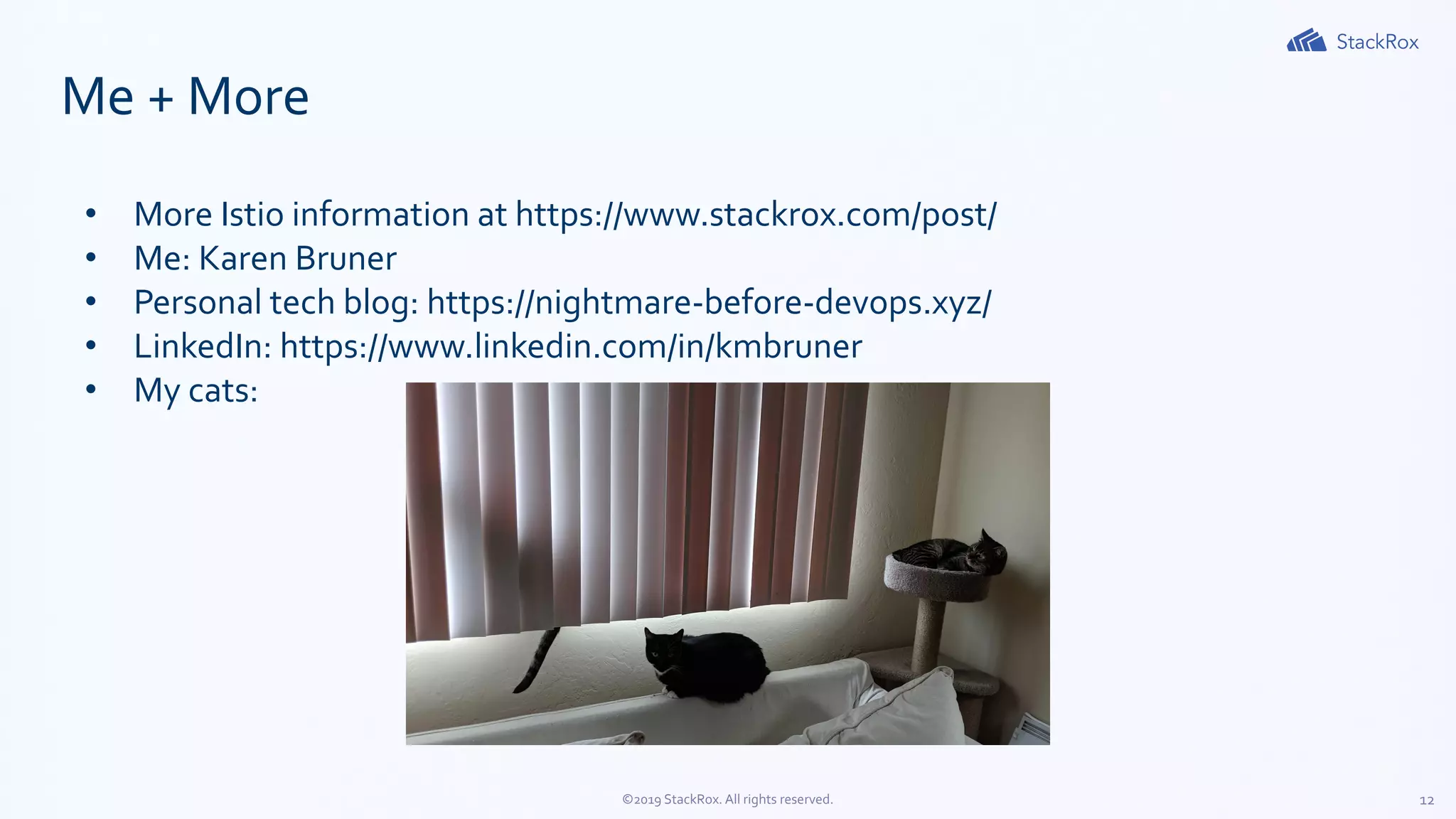 12©2019 StackRox. All rights reserved.
Me + More
• More Istio information at https://www.stackrox.com/post/
• Me: Karen Bruner
• Personal tech blog: https://nightmare-before-devops.xyz/
• LinkedIn: https://www.linkedin.com/in/kmbruner
• My cats:
 