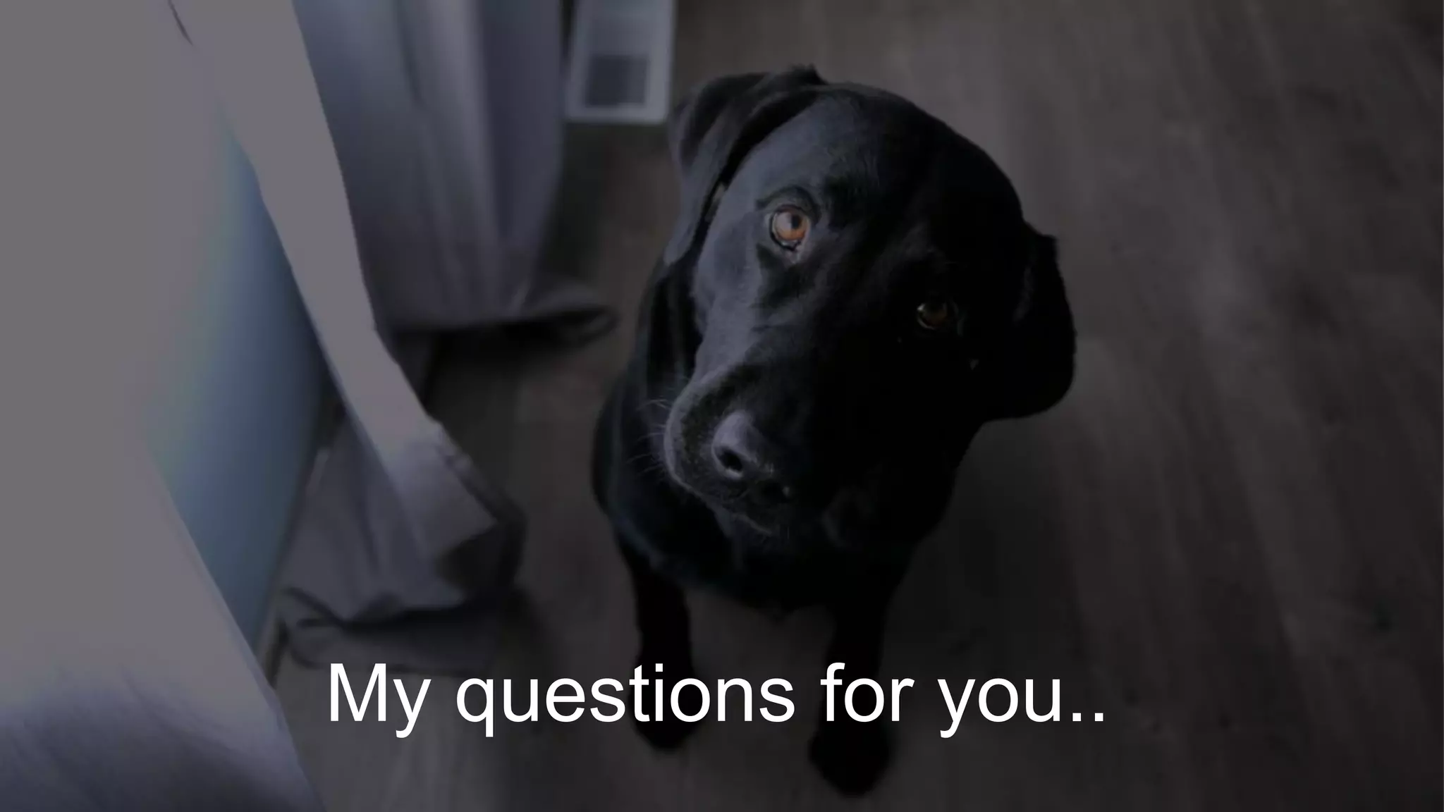 My questions for you..
 