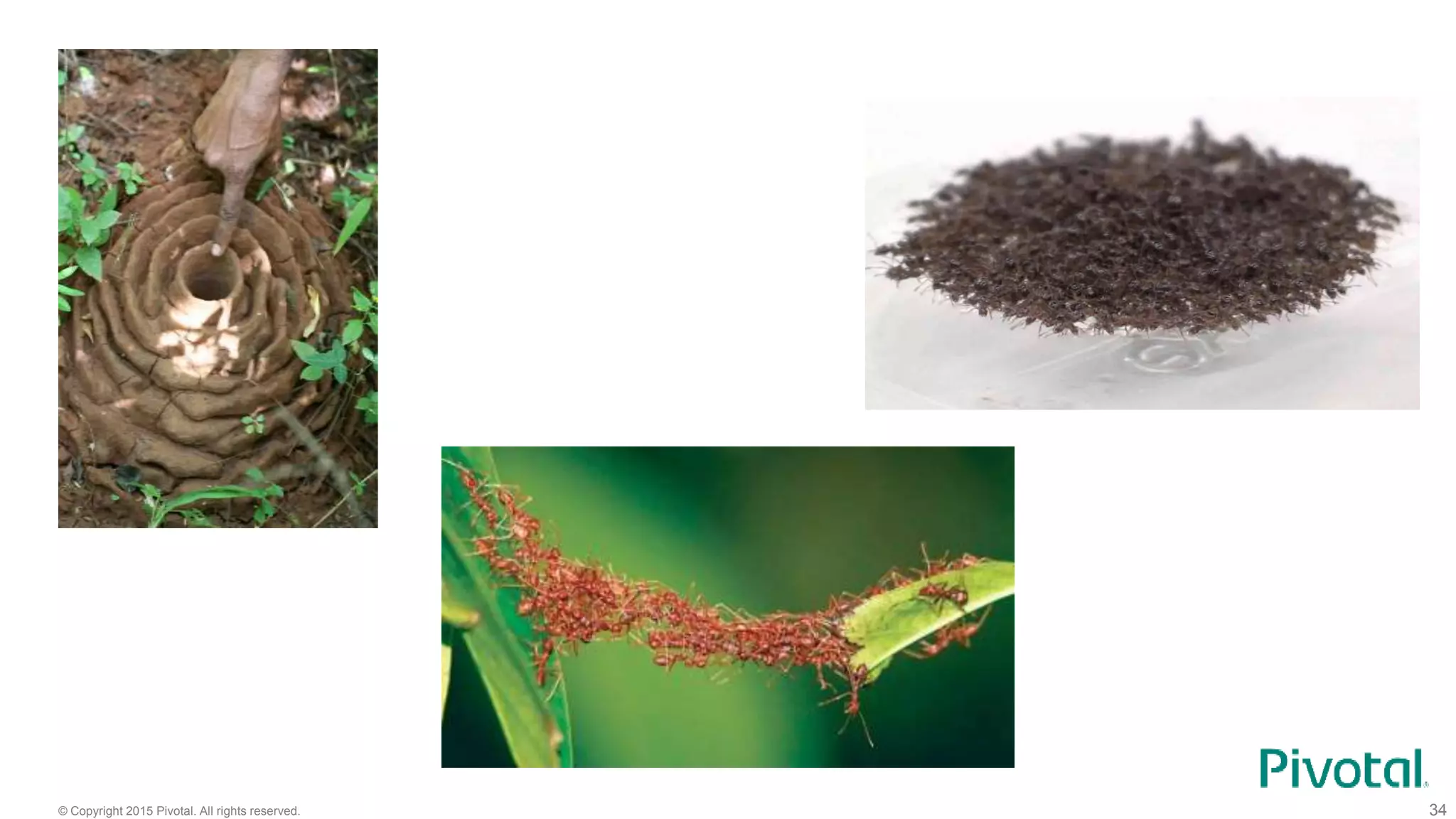 © Copyright 2015 Pivotal. All rights reserved. 34
 