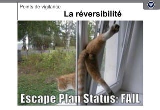 Points de vigilance
                      La réversibilité
 