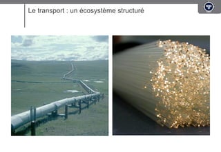 Le transport : un écosystème structuré
 