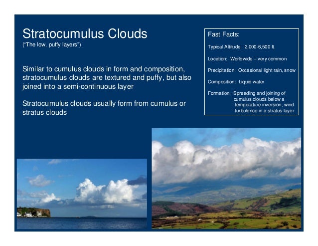 stratus clouds facts
