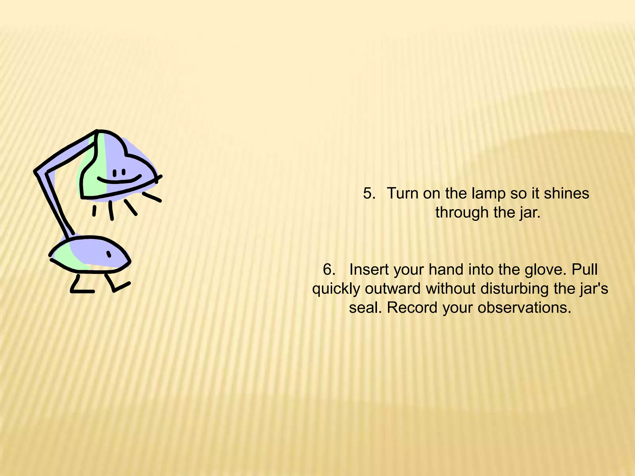 Turn on the lamp so it shines through the jar.6.   Insert your hand into the glove. Pull quickly outward without disturbing the jar's seal. Record your observations.