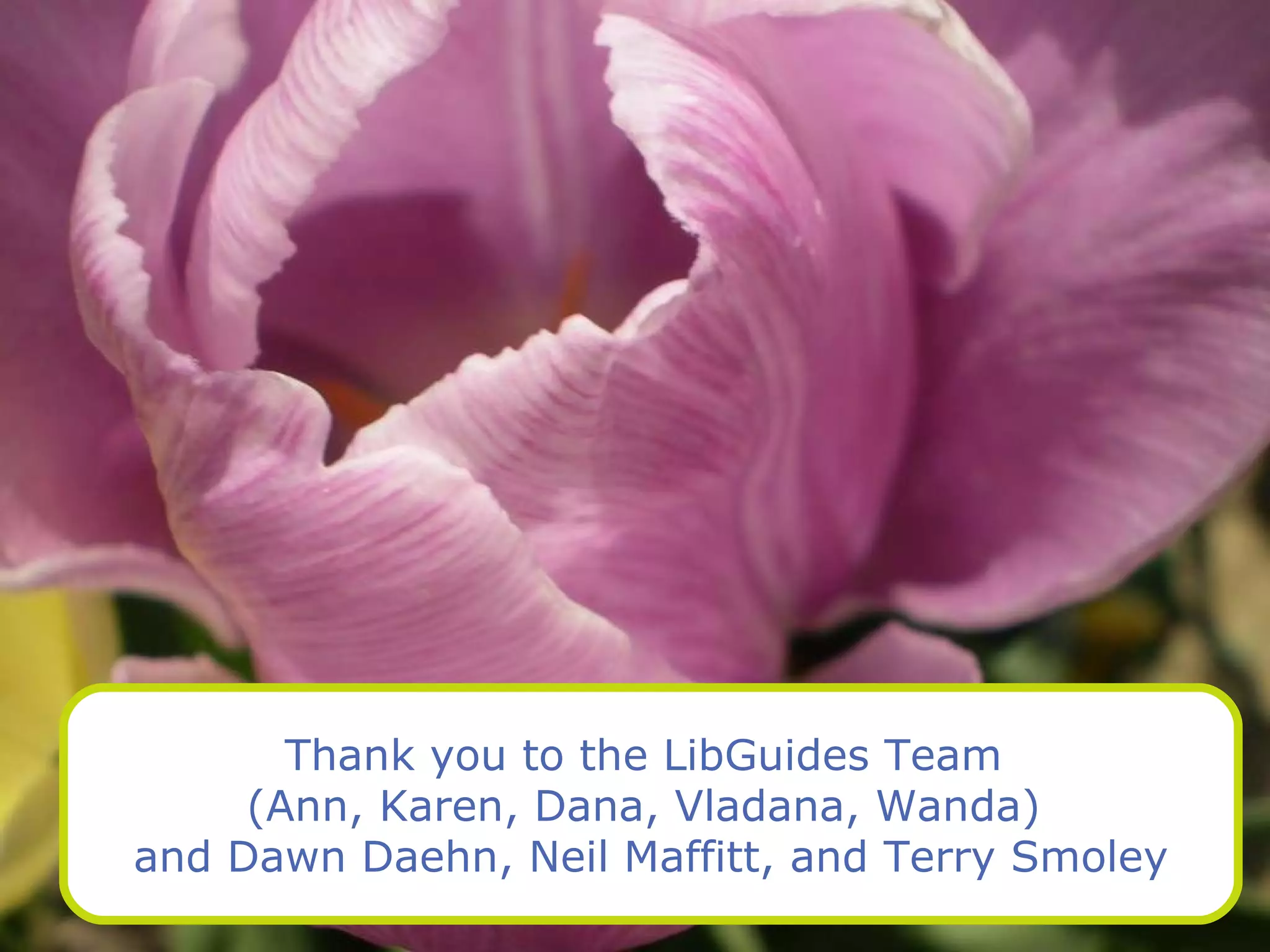 Thank you to the LibGuides Team  (Ann, Karen, Dana, Vladana, Wanda)  and Dawn Daehn, Neil Maffitt, and Terry Smoley 