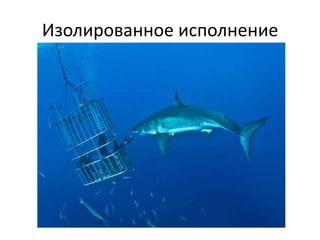 Изолированное исполнение
 