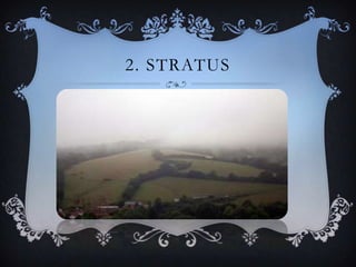 2. STRATUS

 