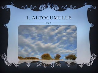 1. ALTOCUMULUS

 
