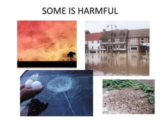 SOME IS HARMFUL