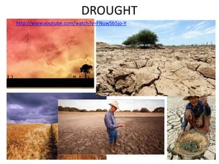 DROUGHThttp://www.youtube.com/watch?v=FNuw5b5jo-Y