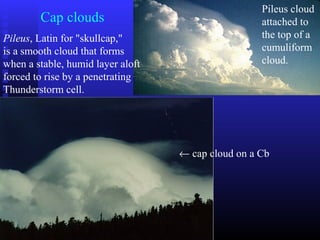 Cap clouds
Pileus, Latin for "skullcap,"
is a smooth cloud that forms
when a stable, humid layer aloft
forced to rise by a penetrating
Thunderstorm cell.
← cap cloud on a Cb
Pileus cloud
attached to
the top of a
cumuliform
cloud.
 