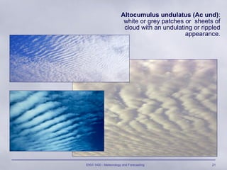 ENVI 1400 : Meteorology and Forecasting 21
Altocumulus undulatus (Ac und):
white or grey patches or sheets of
cloud with an undulating or rippled
appearance.
 