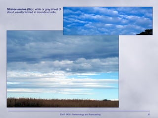 ENVI 1400 : Meteorology and Forecasting 30
Stratocumulus (Sc) : white or grey sheet of
cloud, usually formed in mounds or rolls.
 