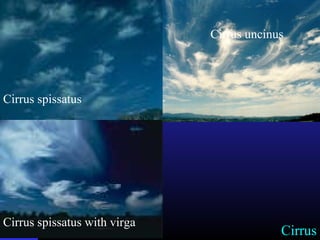 Cirrus
Cirrus spissatus
Cirrus spissatus with virga
Cirrus uncinus
 