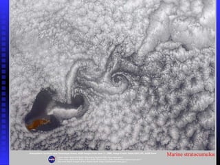 Marine stratocumulus
 