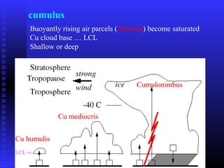 cumulus
Buoyantly rising air parcels (thermals) become saturated
Cu cloud base … LCL
Shallow or deep
LCL→
Cu humulis
Cu mediocris
Cumulonimbus
 