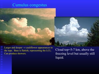 Cumulus congestus
Larger and deeper → cauliflower appearances to
the tops. Base is flattish, representing the LCL.
Can produce showers.
Cloud top=5-7 km, above the
freezing level but usually still
liquid.
 