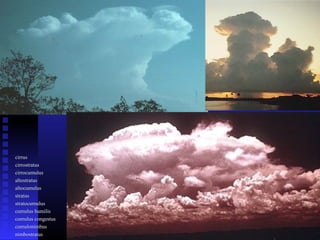cirruscirrus
cirrostratuscirrostratus
cirrocumuluscirrocumulus
altostratusaltostratus
altocumulusaltocumulus
stratusstratus
stratocumulusstratocumulus
cumulus humiliscumulus humilis
cumulus congestuscumulus congestus
cumulonimbuscumulonimbus
nimbostratusnimbostratus
 
