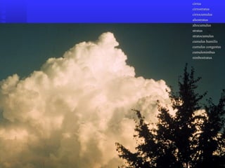 cirruscirrus
cirrostratuscirrostratus
cirrocumuluscirrocumulus
altostratusaltostratus
altocumulusaltocumulus
stratusstratus
stratocumulusstratocumulus
cumulus humiliscumulus humilis
cumulus congestuscumulus congestus
cumulonimbuscumulonimbus
nimbostratusnimbostratus
 