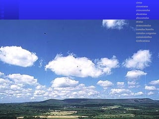 cirruscirrus
cirrostratuscirrostratus
cirrocumuluscirrocumulus
altostratusaltostratus
altocumulusaltocumulus
stratusstratus
stratocumulusstratocumulus
cumulus humiliscumulus humilis
cumulus congestuscumulus congestus
cumulonimbuscumulonimbus
nimbostratusnimbostratus
 