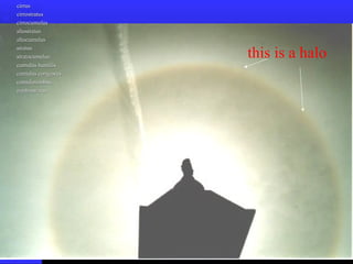 this is a halo
cirruscirrus
cirrostratuscirrostratus
cirrocumuluscirrocumulus
altostratusaltostratus
altocumulusaltocumulus
stratusstratus
stratocumulusstratocumulus
cumulus humiliscumulus humilis
cumulus congestuscumulus congestus
cumulonimbuscumulonimbus
nimbostratusnimbostratus
 