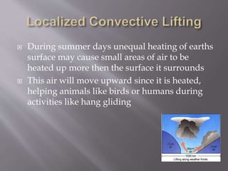 During summer days unequal heating of earths
surface may cause small areas of air to be
heated up more then the surface it surrounds
 This air will move upward since it is heated,
helping animals like birds or humans during
activities like hang gliding
 