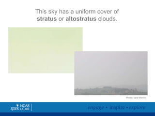 This sky has a uniform cover of
stratus or altostratus clouds.

Photo: Sara Martin

 