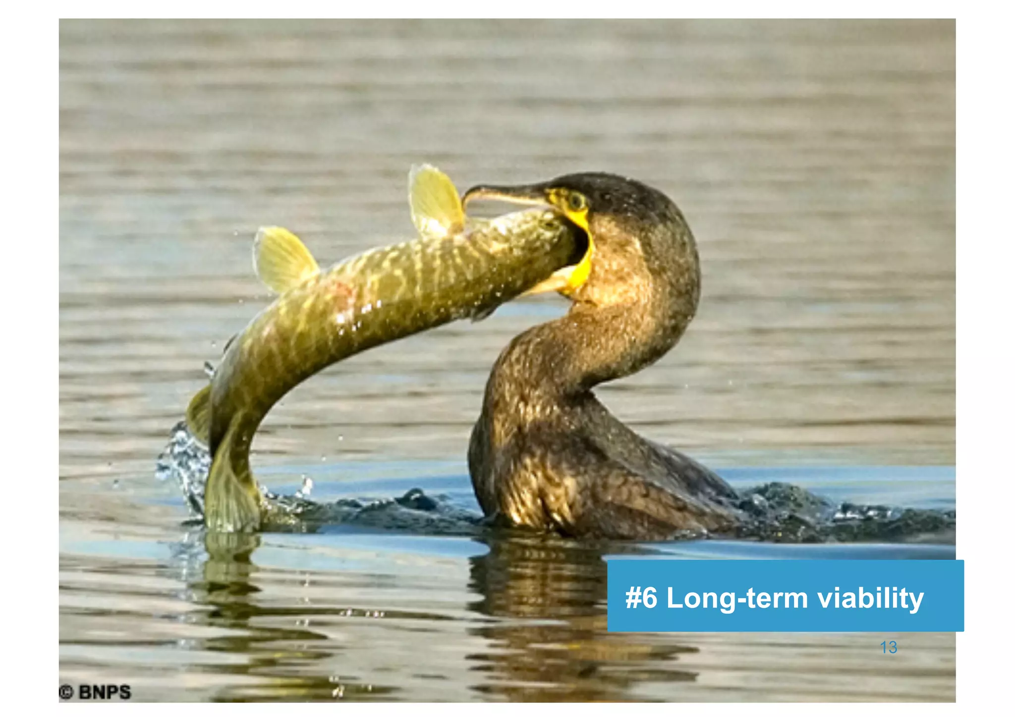 #6 Long-term viability
                  13
 