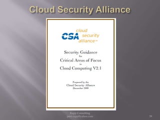 Cloud Security Alliance39Rapp Consulting   peet.rapp@yahoo.com